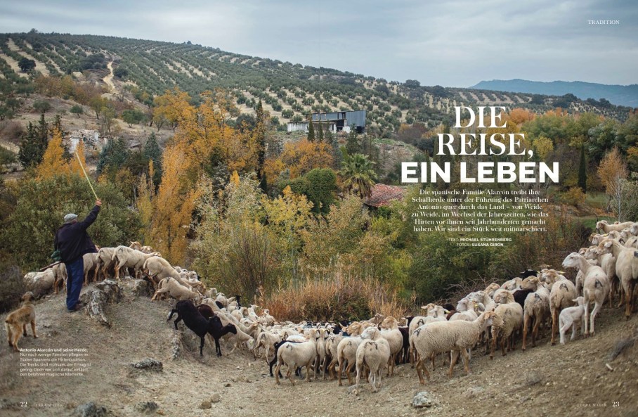 Bildschirmfoto 2018-10-12 um 13.29.34